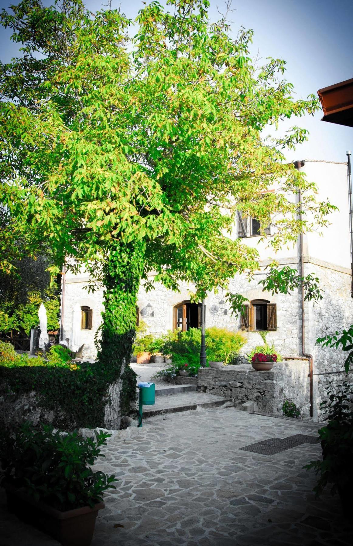 Agriturismo Sant'Agata เปียนาเดยีอัลบาเนซี ภายนอก รูปภาพ