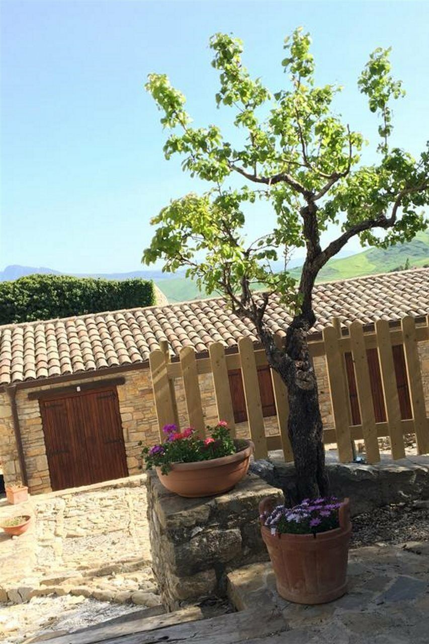 Agriturismo Sant'Agata เปียนาเดยีอัลบาเนซี ภายนอก รูปภาพ